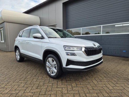 Skoda Karoq second hand de vanzare