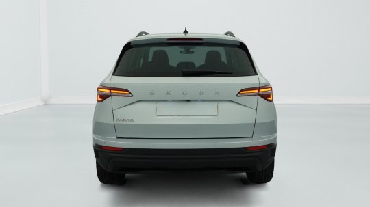 Skoda Karoq second hand de vanzare