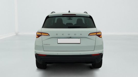 Skoda Karoq second hand de vanzare